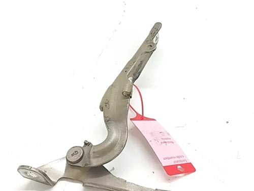 Used Hinge/Door check strap CITROËN C3 Picasso (SH_) 1.6 HDI 90 (92 hp) 31247253
