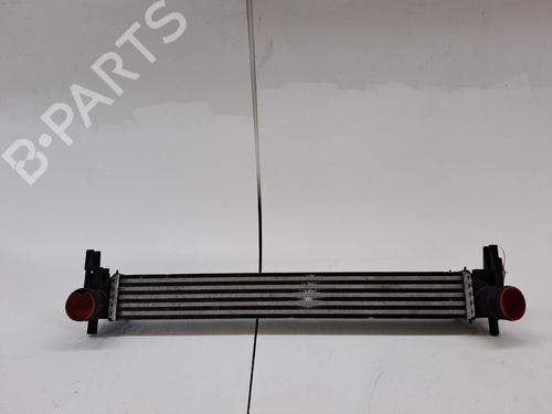 Used Intercooler VW POLO V (6R1, 6C1) 1.6 TDI (90 hp) 24109020