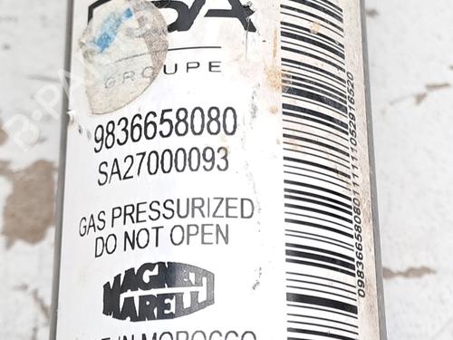 Right rear shock absorber PEUGEOT 2008 II (UD_, US_, UY_, UJ_, UR_, UC_) 1.2 PureTech 100 (USHNK) | BP27673095M19 