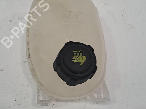 Used Expansion tank RENAULT EXPRESS Box Body/MPV 1.5 Blue dCi 75 (F6AA) (75 hp) 27464018