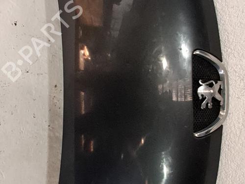 Used Hood Hood PEUGEOT 107 (PM_, PN_) 1.0 (68 hp) 33767176 33767176