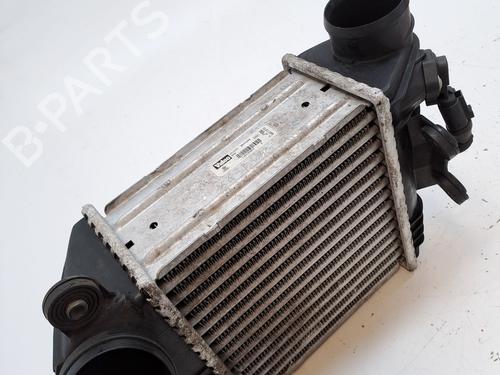 Intercooler VW GOLF IV (1J1) 1.9 TDI | BP27193763M30