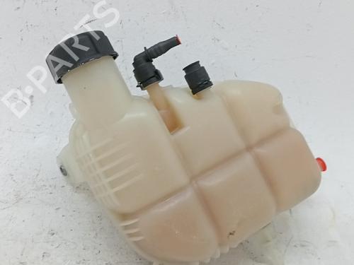 expansion-tank-mini-mini-f55-2013-40550977 main image