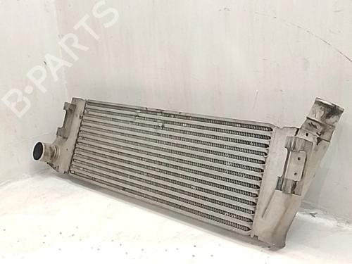 Intercooler Intercooler RENAULT MEGANE II Estate (KM0/1_) 1.5 dCi (KM02, KM13) (101 hp) 34507875 34507875