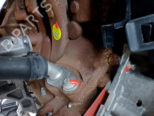 Engine RENAULT MEGANE III Hatchback (BZ0/1_, B3_) 1.5 dCi (BZ1G, BZ1W, BZ0R) | BP29556451M1 