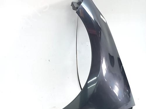 Left front fenders RENAULT MEGANE III Grandtour (KZ0/1) 1.5 dCi (KZ1M, KZ1W, KZ0R) | BP29556349C41 