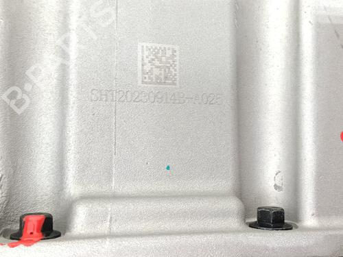 Engine MG MG ZS SUV (AZS1) 1.5 VTi | BP28956979M1