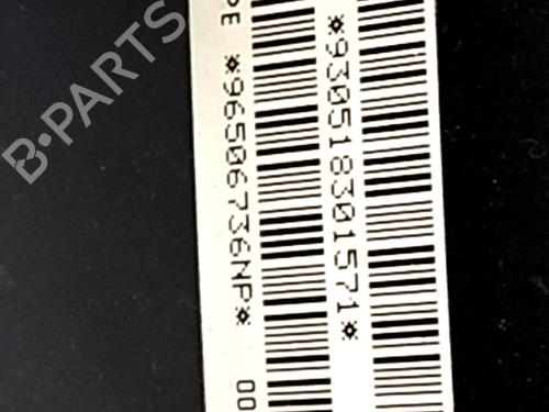 Rat PEUGEOT 1007 (KM_) 1.6 16V | BP32107394C49