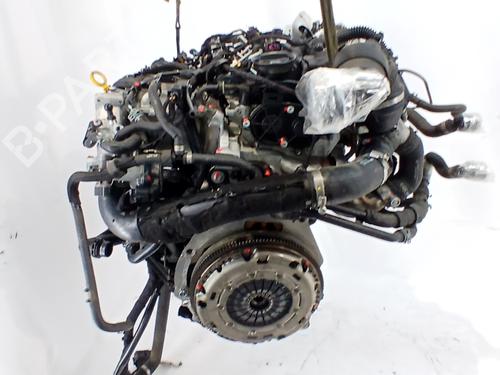 Engine AUDI A3 (8V1, 8VK) 1.6 TDI | BP33761591M1 - Image 14
