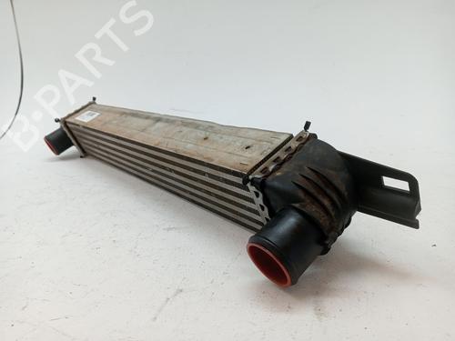 Used Intercooler PEUGEOT BIPPER Tepee 1.3 HDi 75 (75 hp) 24108983