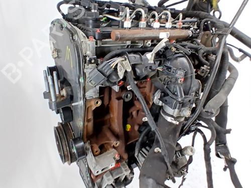 Engine FORD TRANSIT CUSTOM V362 Van (FY, FZ) 2.2 TDCi | BP32383968M1