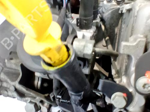 Engine AUDI A3 (8V1, 8VK) 1.6 TDI | BP33761591M1 - Image 2