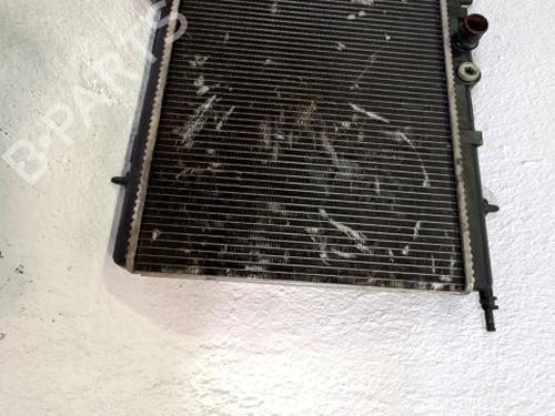 Water radiator PEUGEOT 206 Hatchback (2A/C) 1.9 D | BP29852256M31