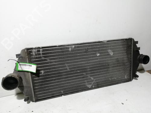 Intercooler FIAT SCUDO Van (220_) 2.0 JTD 16V (109 hp) 25459617