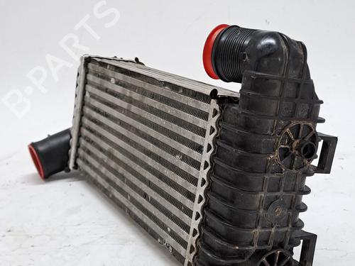 Intercooler FORD TRANSIT CONNECT V408 Box Body/MPV 1.6 TDCi | BP25998317M30 