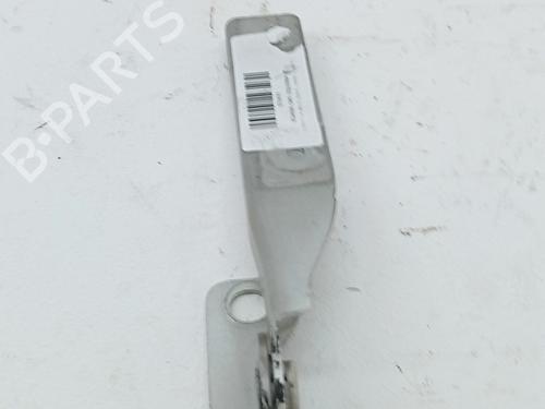 hingedoor-check-strap-citroen-c3-ii-sc_-2009-36026769 main image