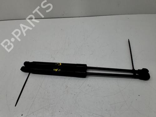 Hood lift support RENAULT CAPTUR I (J5_, H5_) 1.2 TCe 120 | BP29421322C139 