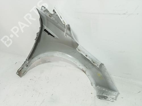 Left front fenders FORD KUGA II (DM2) 2.0 TDCi 4x4 | BP29606502C41 