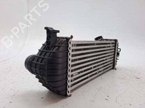 Intercooler RENAULT KANGOO / GRAND KANGOO II (KW0/1_) 1.5 dCi 90 (KW18) | BP27462254M30 