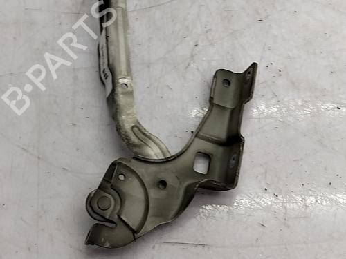 hingedoor-check-strap-citroen-c4-ii-nc_-2009-34497221 main image