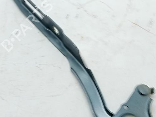 hingedoor-check-strap-citroen-berlingo-er_-ec_-2018-34238434 main image