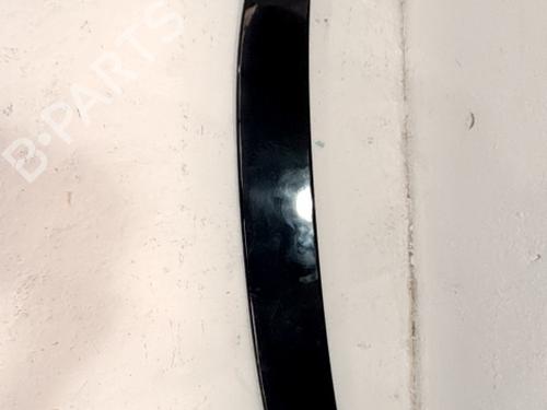 Rear spoiler CITROËN C4 II (NC_) 1.6 HDi 90 | BP29992626C96