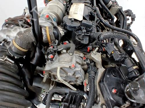 Engine FORD FOCUS III 1.6 TDCi | BP29556792M1 