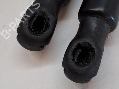 Tailgate lift support LEXUS NX (_Z1_) 300h AWD (AYZ15, AYZ15_, AYZ15R) | BP25783385C138 