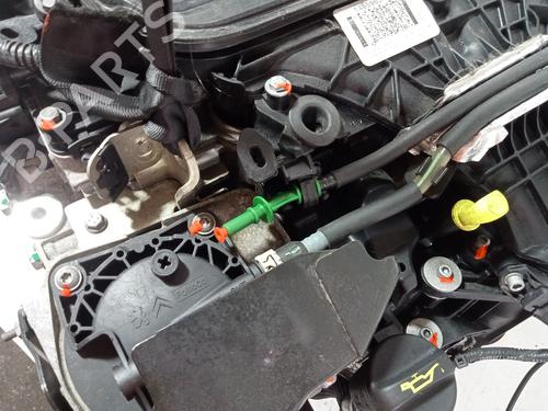 Engine FORD KUGA II (DM2) 2.0 TDCi 4x4 | BP29228693M1 