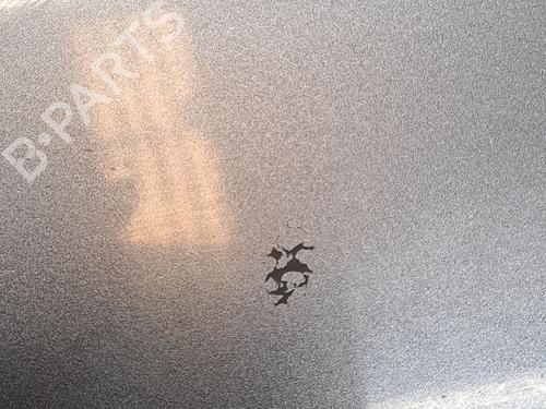 Tailgate NISSAN X-TRAIL III (T32_, T32R, T32RR) 2.0 dCi (T32) | BP23368860C6 