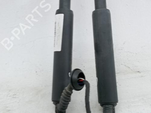 tailgate-lift-support-tesla-model-3-5yj3-2017-40546794 main image
