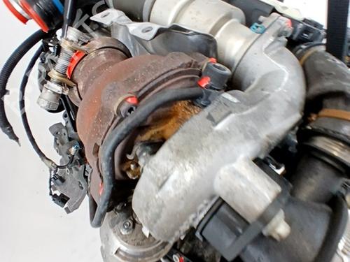 Engine FORD FOCUS III 1.6 TDCi | BP29556792M1 