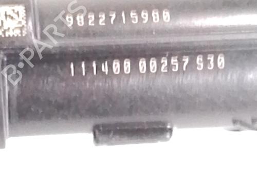 Injector PEUGEOT 2008 II (UD_, US_, UY_, UJ_, UR_, UC_) 1.2 PureTech 100 (USHNK) | BP30846259M100