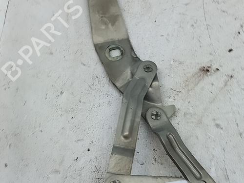 hingedoor-check-strap-renault-scenic-ii-jm01_-2003-2004-2005-2006-2007-2008-2009-2010-34181927 main image
