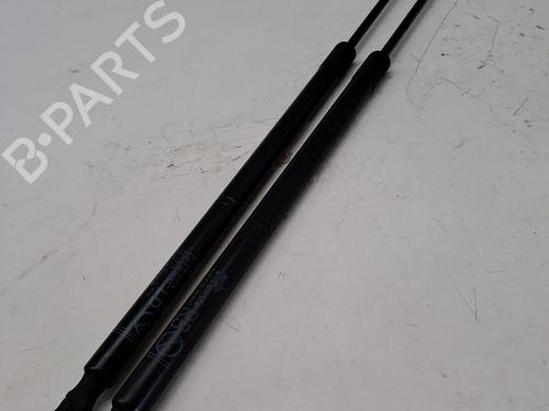Used Tailgate lift support LEXUS NX (_Z1_) 300h AWD (AYZ15, AYZ15_, AYZ15R) (197 hp) 25783385