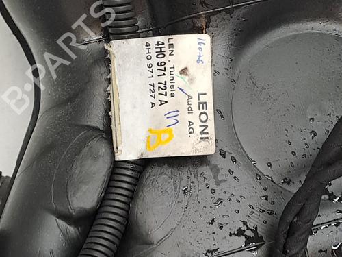 Fuel tank AUDI A8 D4 (4H2, 4H8, 4HC, 4HL) 6.3 W12 quattro | BP23376739C62 