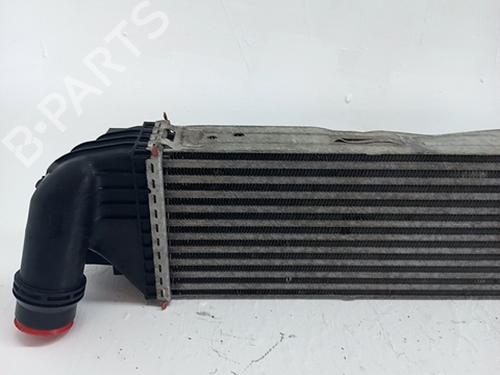 Intercooler RENAULT TRAFIC III Van (FG_) 1.6 dCi 120 (FGMK) | BP29228732M30 