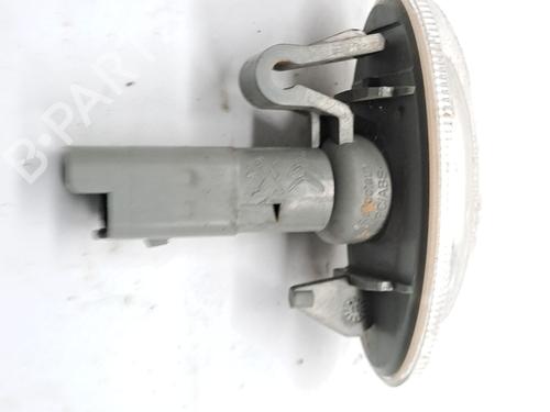Used Right side indicator TOYOTA PROACE Van (MDZ_) 1.6 D4d (MDZ2) (116 hp) 29302152