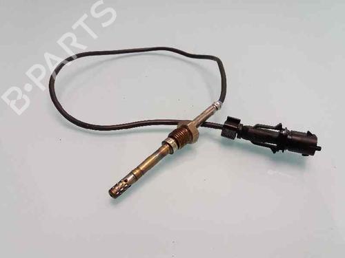 Elektronisk sensor FIAT FIORINO Box Body/MPV (225_) 1.3 D Multijet (95 hp) 29351351