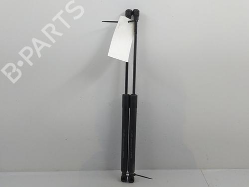 Tailgate lift support DACIA SANDERO II 1.5 dCi | BP22825450C138