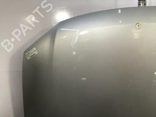 Panser VW TOURAN (1T1, 1T2) 1.9 TDI | BP29598909C1