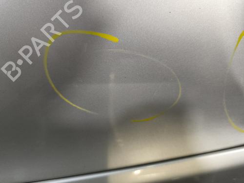 Left front door FORD S-MAX (WA6) 2.0 TDCi | BP29894224C2