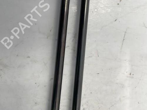 Tailgate lift support BMW 1 (E87) 118 i | BP22831814C138 