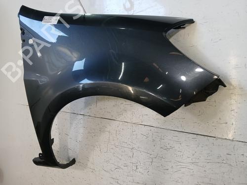 Right front fenders RENAULT CLIO III (BR0/1, CR0/1) 1.5 dCi (C/BR0G, C/BR1G) | BP29700430C42 