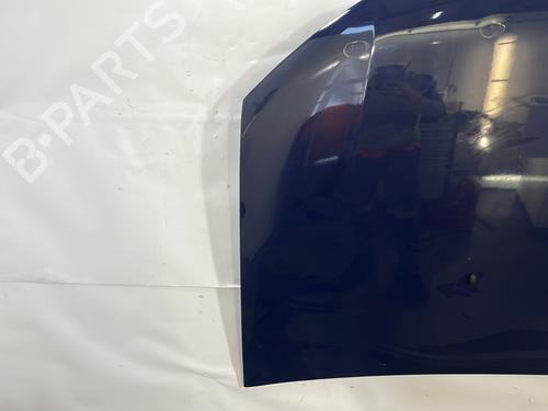 Hood DACIA SANDERO II 1.0 SCe 75 (B8JC, B8JD, B8NC) | BP29314968C1 