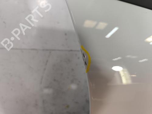 Right front door RENAULT SCENIC E-TECH PHASE I EV87 | BP28117856C3 