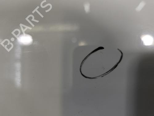Left front door RENAULT TRAFIC III Van (FG_) 1.6 dCi 95 (FGMJ, FGMR) | BP29598839C2 