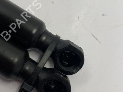 tailgate-lift-support-renault-twingo-iii-bcm_-bca_-2014-25034493 main image