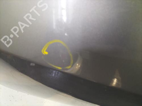 Tailgate RENAULT CLIO III (BR0/1, CR0/1) 1.5 dCi | BP29725875C6