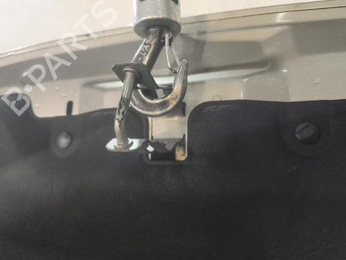 Hood CITROËN DS5 1.6 HDi 115 | BP32114725C1 